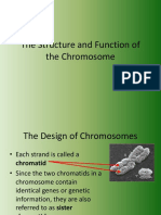 SCI - 15-22c - Structure and Function of The Chromosome - MBCM