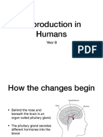 Reproduction in Humans 