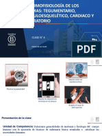 Clase N°4 - El Sistema Tegumentario, Capas de La Piel