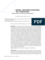 Câncer de Mama - Revisão de Literatura