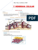 CyMC 1 3