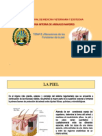 Alteraciones de Las Funciones de La Piel