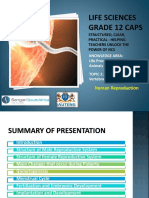 Grade 12 Life Science Human Reproduction Notes