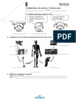 EVALUACIÓN TRIMESTRAL - CyT - V CICLO