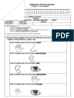 Prueba Unidad 1 Los Sentidos