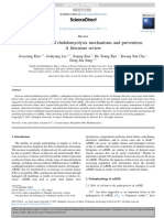 Exercise-Induced Rhabdomyolysis Mechanisms and Prevention