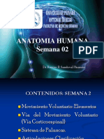 Anatomia Semana 02