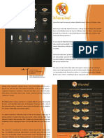 Brochure 3