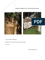 Informe de Derechos de Pueblos Indigenas Amazonicos