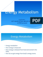 Energy Metabolism