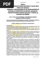 Tema 6. Prevencion de Riesgos Laborales. Seguridad en El Puesto de Trabajo. Igualdad y Violencia de Genero