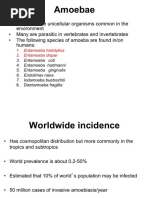 Amoebae Ciliates2022 HB3. Studentspptx