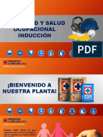 Inducción Seguridad