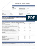 XDS Consumer Credit Report