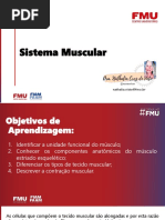 Sistema Muscular