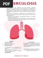 Red White Simple World Tuberculosis Day Instagram Story