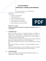 PLAN DE TRABAJO DE PSICOPROFILAXIsssssssS - Documentos de Google