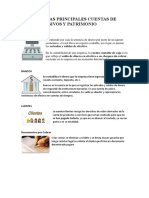 Album de Las Principales Cuentas de Activos Pasivos y Patrimonio