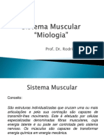 Sistema Muscular