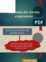 Anatomia Sistema Respiratorio Anatomia 2