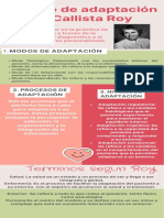 Infografía Sor Callista Roy