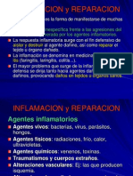 Fisiopatologia de La Inflamación