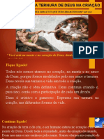 03.06.23-A Revelação Da Ternura de Deus Na Criação