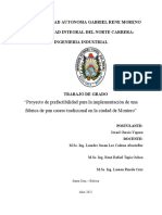 Proyecto de Prefactibilidad para La Implementación de Una Fabrica de Pan Casero Tradiconal en La Ciudad de Montero FINAL