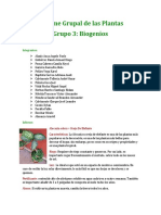 Informe Grupal de Las Plantas