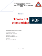 Ensayo - Teoria Del Consumidor