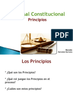 Principios Procesal Constitucional