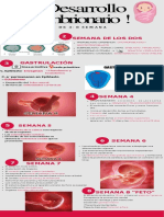 Desarrollo Embrionario