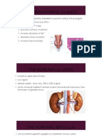 Endocrine System Part 2