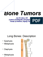 08 Bone Tumors