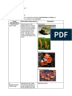 M6-Fungi Classification and Diseases - Caparas