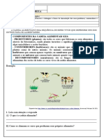 Atividade 7 Ciencias Da Natureza Tema Cadeias e Teias Alimentares Simples 4o Ano 1