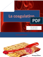 Coagulation R1