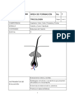 1 - Estructura Del Cabello