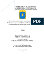 Universidad Nacional de Cajamarca Facultad de Ciencias Veterinarias