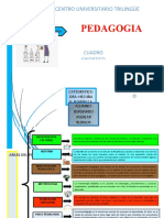 Cuadro Sinoptico