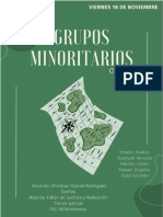 Grupo Minoritario en México