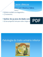 Aula - Patologia Do Aparelho Urinario Inferior