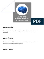 Anatomia Do Sistema Nervoso e Tegumentar