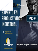 Curso Experto en Productividad Industrial