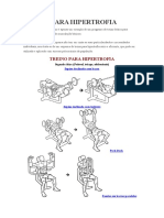 Treino para Hipertrofia