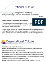 Organisational Culture