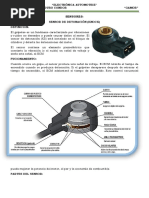 PDF Documento