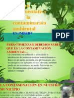 Ensayo Argumentativo Sobre La Contaminacion Ambiental en Nuestro Municipio