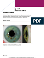 Mehu108 - U7 - T10 - Desarrollo de Anormalidades de La Cornea