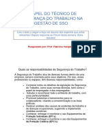 O Papel Do Técnico de Segurança Do Trabalho Na Gestão de Sso Prof Fabrício Varejão